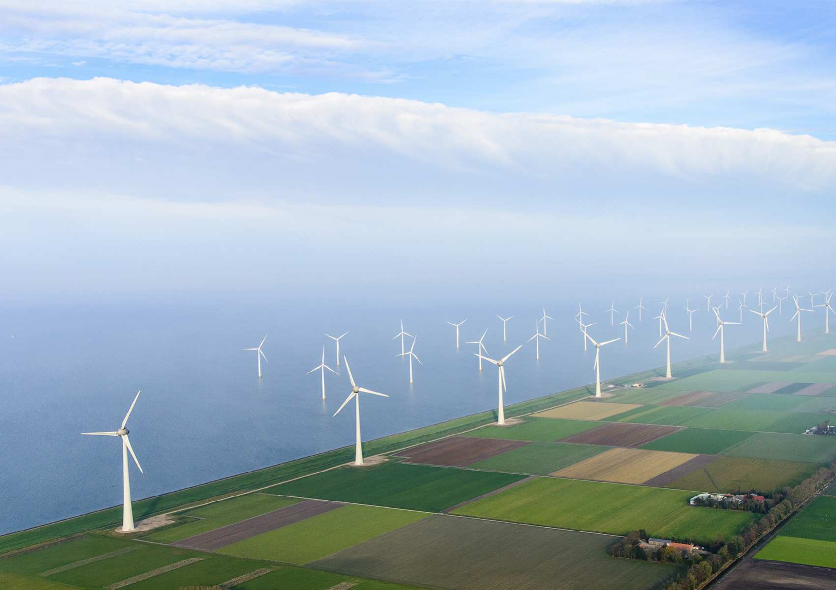 DNBelicht_cover-achtergrond