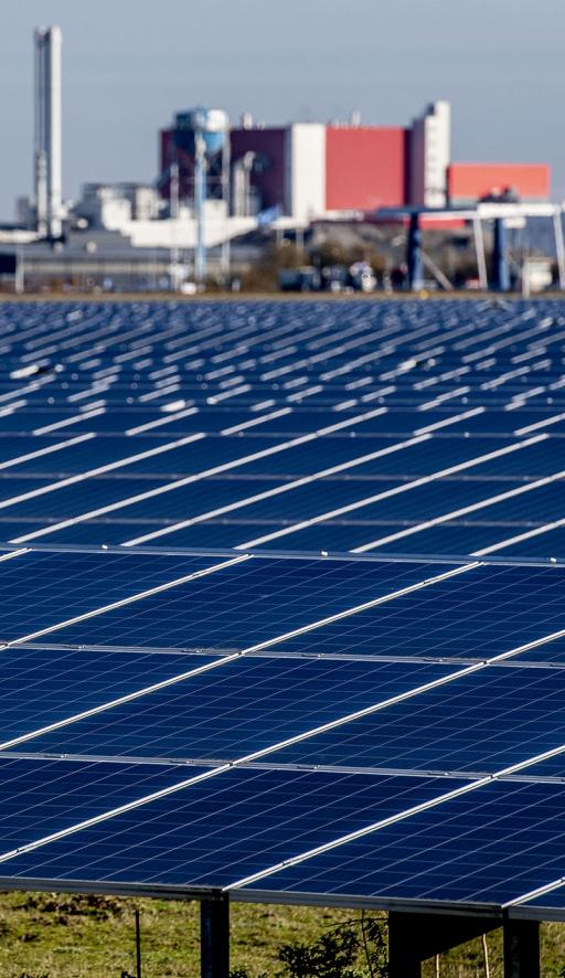 NGFS - Beeld - Pioniers