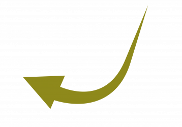 Feiten en cijfers over Fintech_Pijl5 - Olijf