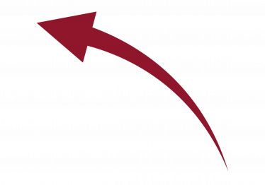 Feiten en cijfers over Fintech_Pijl4_Tanerood