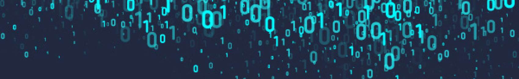 Weerbaar tegen de vele vormen van cybercrime_beeld: nullen en enen